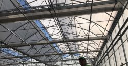 greenhouse climate control systems turkey 10