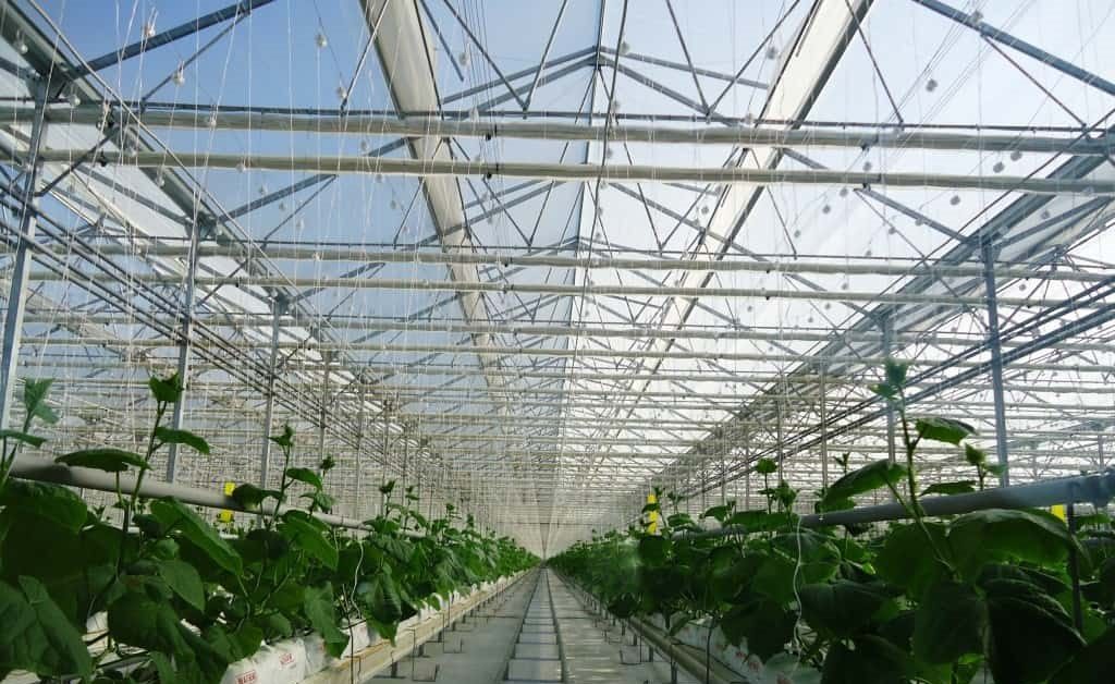 Greenhouse Supplies & Equipment – BHK Greenhouse