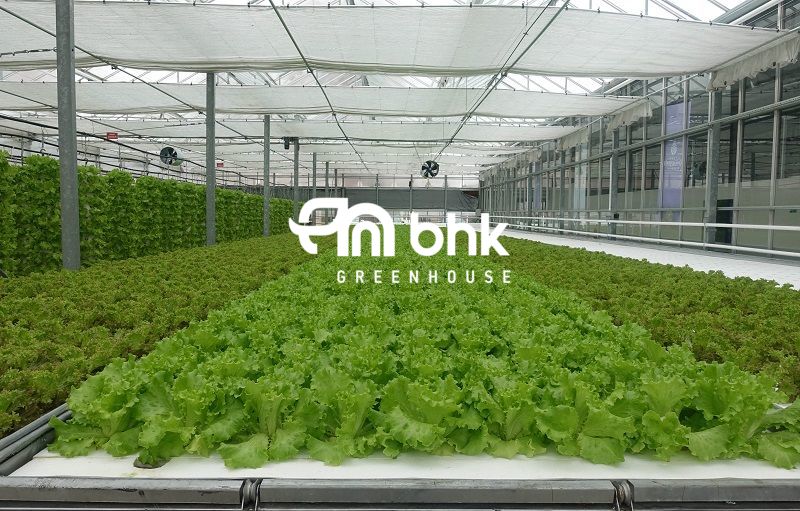 https://www.bhksera.com/wp-content/uploads/2019/09/greenhouse-manufacturer1.jpg