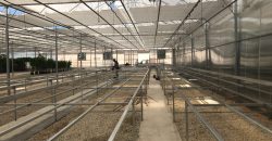 greenhouse-climate-control-systems-turkey-3