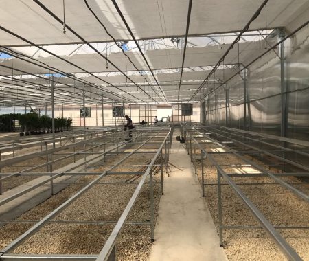 greenhouse-climate-control-systems-turkey-3