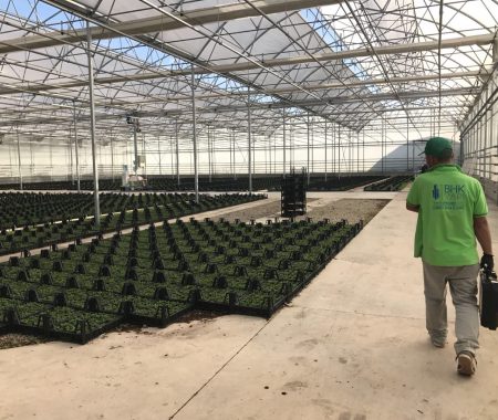 greenhouse-climate-control-systems-turkey-4