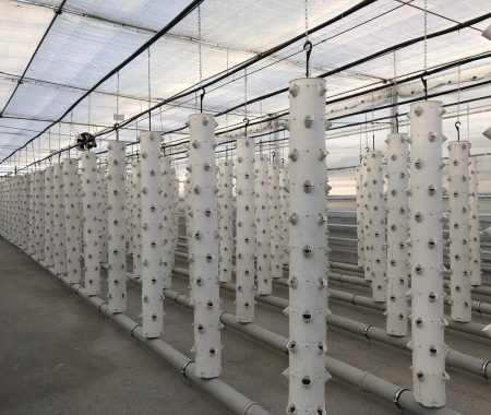 istanbul-yildiz-teknik-uni-hydroponic-greenhouse1