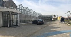 istanbul-yildiz-teknik-uni-hydroponic-greenhouse10