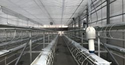 istanbul-yildiz-teknik-uni-hydroponic-greenhouse2