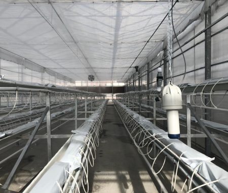 istanbul-yildiz-teknik-uni-hydroponic-greenhouse2