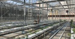 istanbul-yildiz-teknik-uni-hydroponic-greenhouse4-300x225